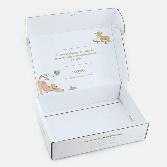 Empaque regalo amigos verde pequeño