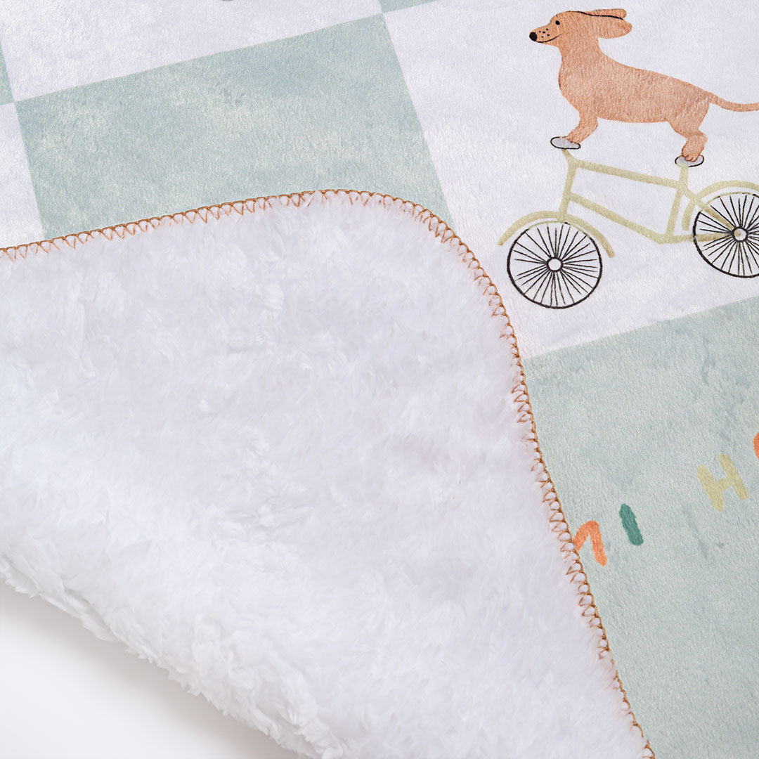 Manta ovejera amigos