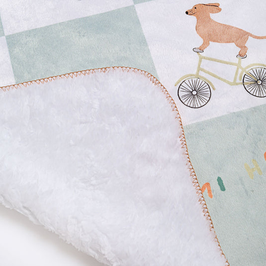 Manta ovejera amigos