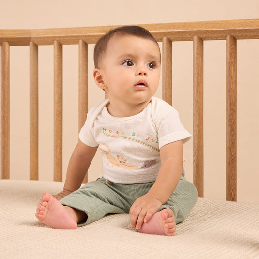 Paquete x2 bodies y sudadera niño