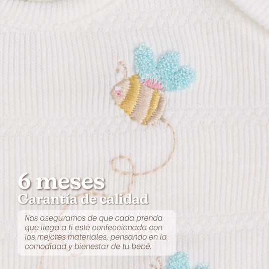 Body Frase